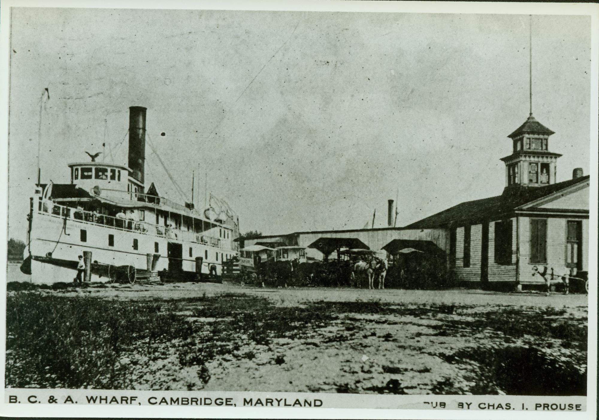 CBMM catalog image